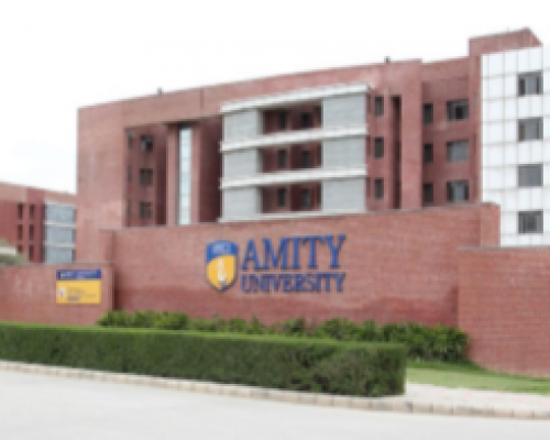 <p  style="text-align:center"><b>Amity University</b>Work Done by ZATA</p>